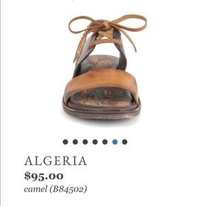 Born Algeria in Camel sandals